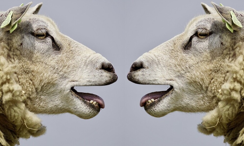 small talk in english